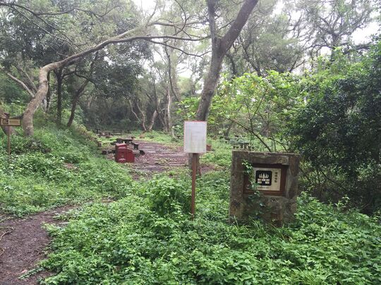 Ping Chau Barbecue Site