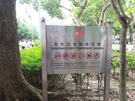 加多近街临时花园